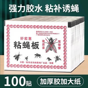苍蝇贴强力粘苍蝇纸粘蝇板药沾蚊杀手捕捉器灭蝇子神器一扫光家用