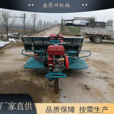 机农用性行秧机强 播八稻行六直全自动稻精销苗 适应插水香