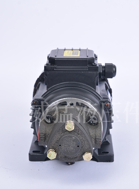 三角齿轮油泵RHB-2.5/1/1.5/4/3.15JZ120WJW5624润滑泵电机组三相