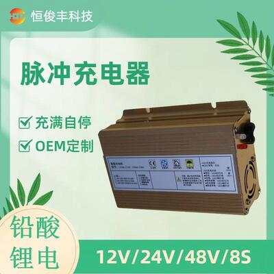 铅酸电池叉车电摩充电器24V10A12V15A12V10A48V5A48V3A原厂