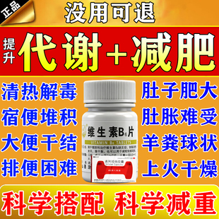 维生素b6片正品官方旗舰店减肥促代谢瘦身燃脂搭奥利司他胶囊