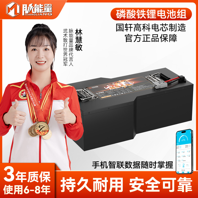 九号极核大容量磷酸铁锂电池72AH