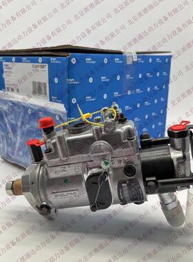 德尔福油泵3230F580T 2643B319油泵 费尼亚3230F581T 2643B319