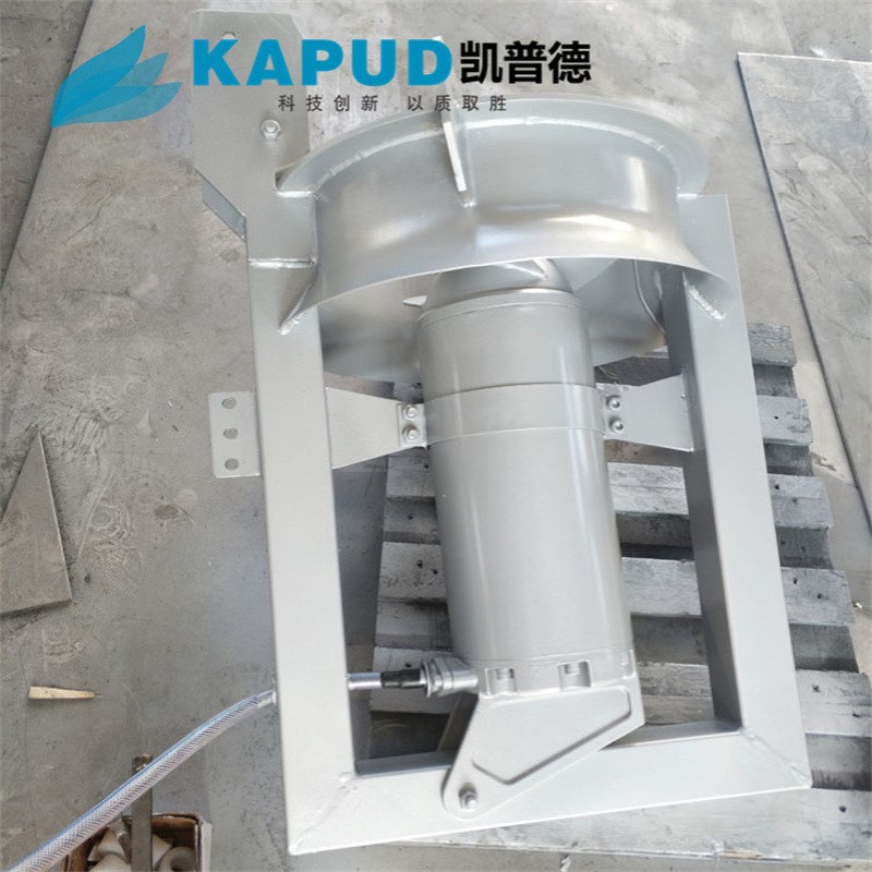 水平螺旋桨泵  好氧池消化液回流泵   南京凯普德 kapud