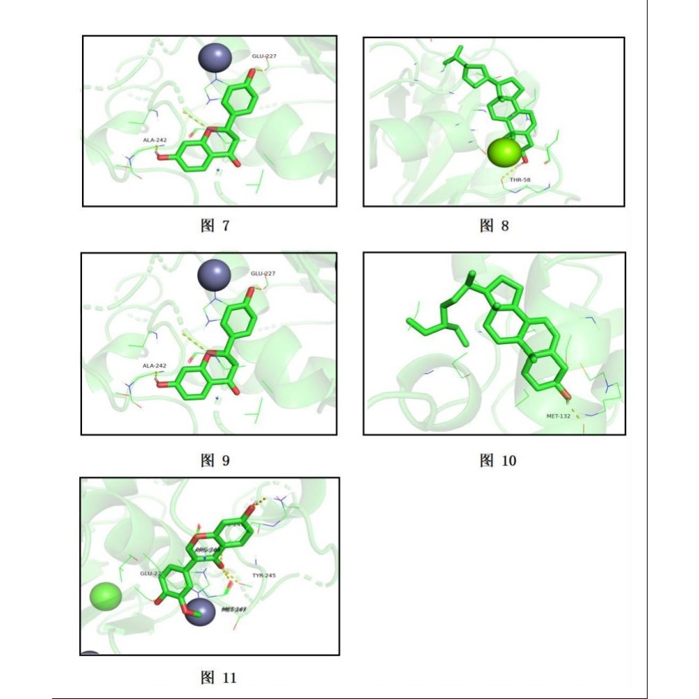 分子对接结合能+图片(Autodock-vina+pymol作图),提供数据版