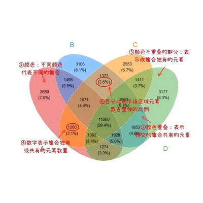 生信分析教学 单细胞空转 蛋白组 代谢组数据分析教学指导