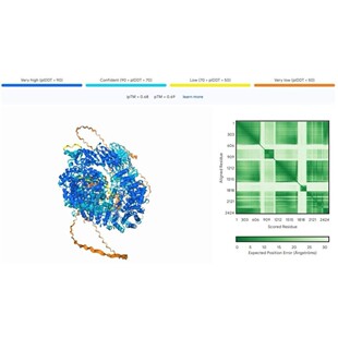 alphafold3蛋白质DNA配体金属离子修饰单体复合物互作结构预测