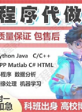 matlab程序代编代码帮做图像神经网络python代做深度学习算法彷真