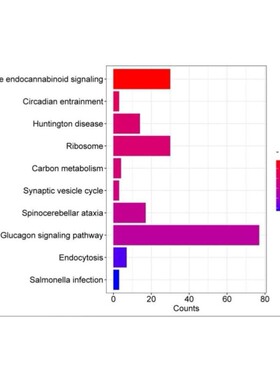 ChIPseq/CUTtag/RIPseq分析,会议进行结果讲解