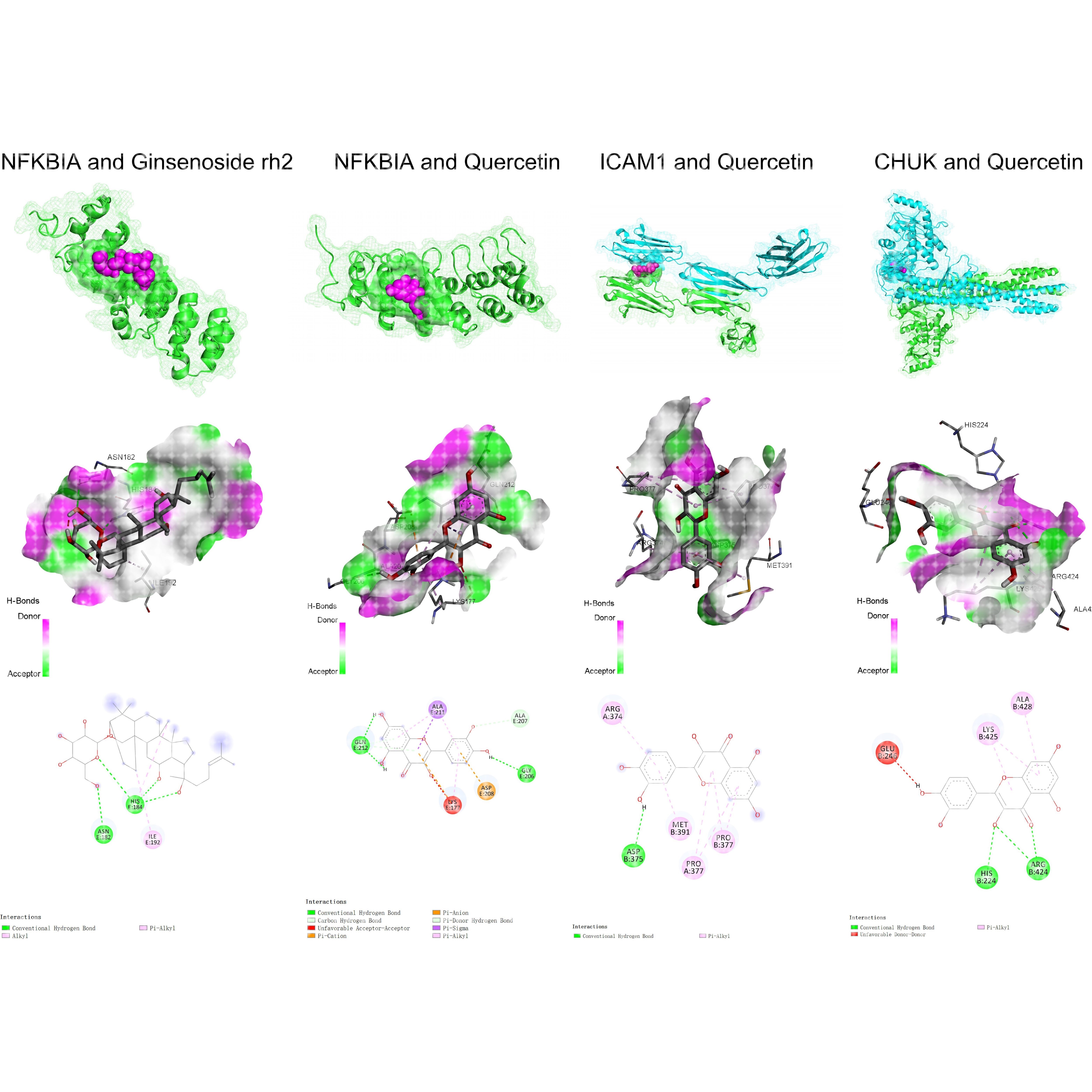 小分子药物与大分子蛋白分子对接,对接结果3D及2D图制作,以及最