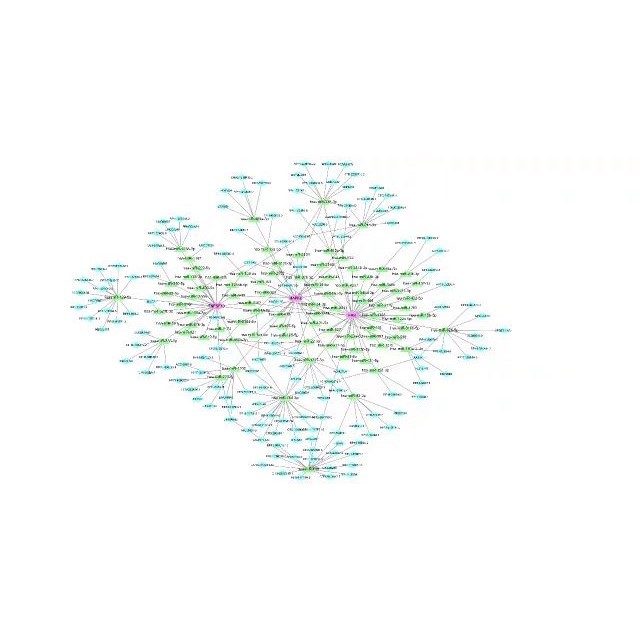 网络药理学 生信sic 中药复方分子对接GO/KEGG富集分析医学科研