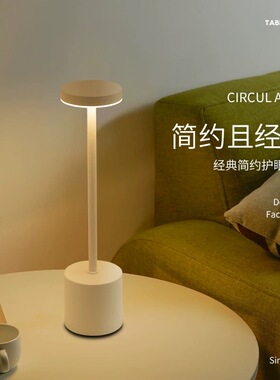 高级感轻奢触摸led充电2024网红创意台灯卧室床头柜灯酒吧氛围灯