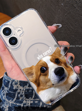苹果17搞怪柯基狗狗ip16Pro磁吸手机壳15plus趣味萌宠14promax简约小众透明轻薄好看iphone13硬壳防摔保护套
