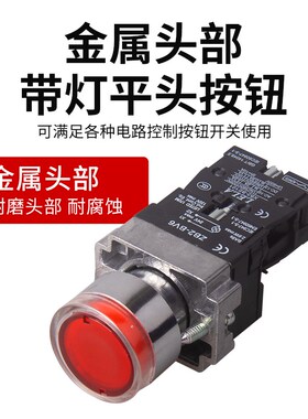 带灯平头按钮开关 XB2-BW31M1C AC220V ZB2-BE101C 一常开 一常闭