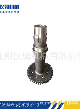 徐工装载机860165323 2BS315A(D).30-1A工作泵轴齿轮(272200748)R