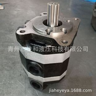 系列双联齿轮泵 25BLHR 厂家供应榆次液压2CB FC25