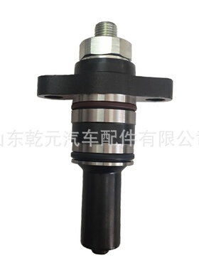 高压油泵柱塞 F019D03313 柴油泵柱塞总成