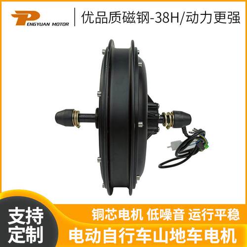 PY-01-02-205Ａ-35Ｒ辐条轮电机电动自行车山地车电机
