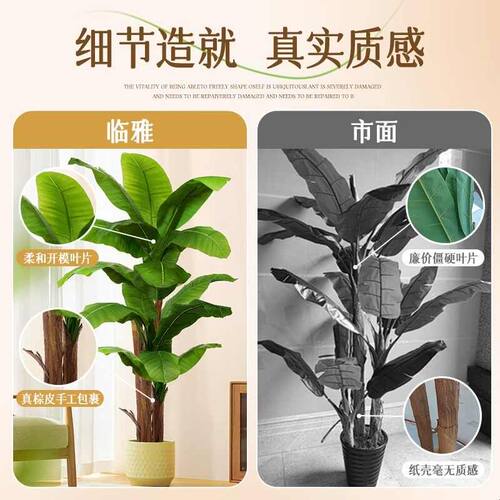 仿真大叶芭蕉树2025新大型仿生绿植装饰室内造景高端植物假树摆件