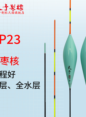 天予正品浮漂DP23黑坑无鳞鲤鱼正钓行程接口框镜专用鱼漂走水风浪