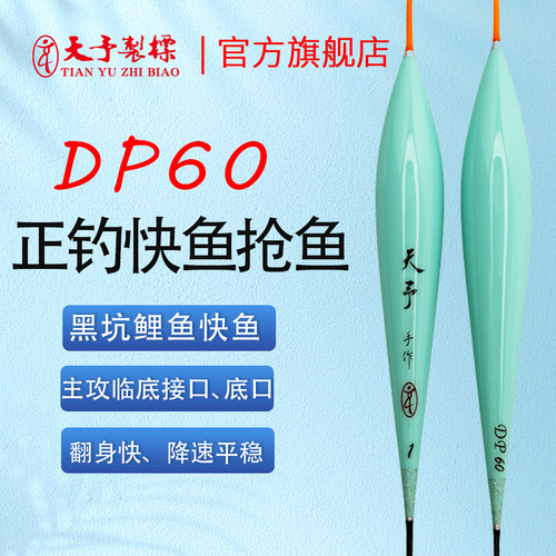 天予DP60竞技正钓鲤鱼小炮浮漂