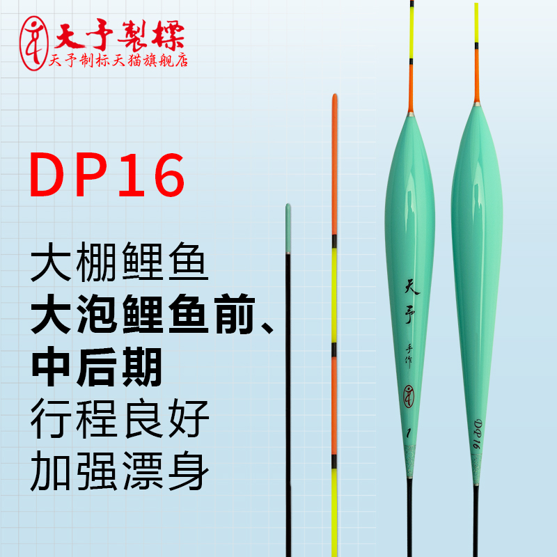 天予DP16大棚泡坑鲤鱼浮漂