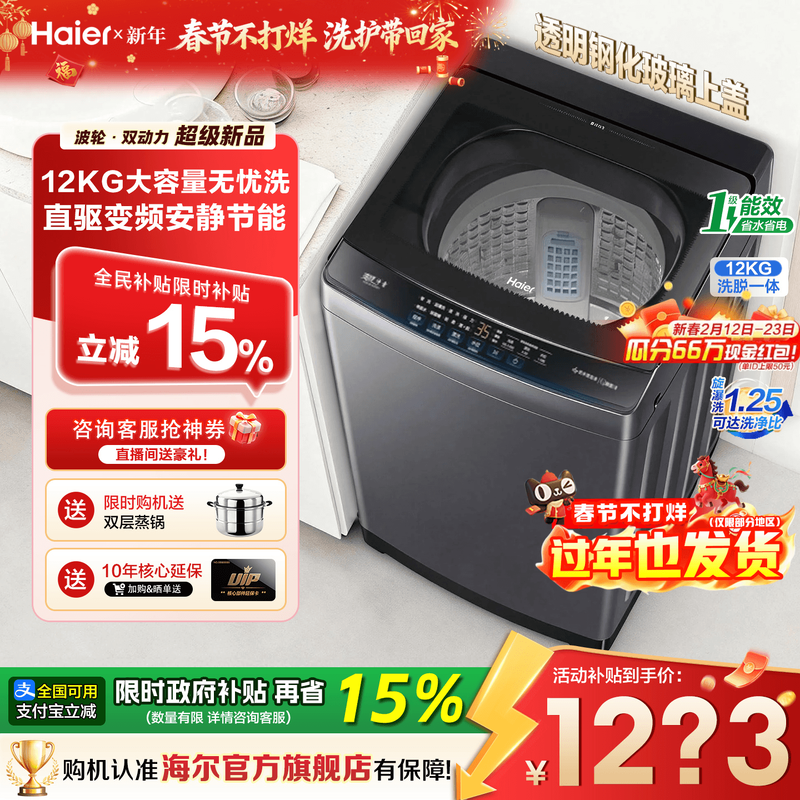 海尔洗衣机家用波轮全自动12公斤超大容量直驱变频除菌旗舰店20D1