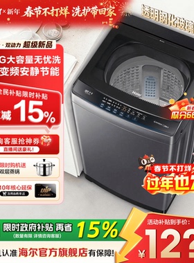 海尔洗衣机家用波轮全自动12公斤超大容量直驱变频除菌旗舰店20D1