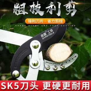 园林果树剪 厂家伸缩大力剪粗枝剪 省力修枝剪高枝粗枝剪