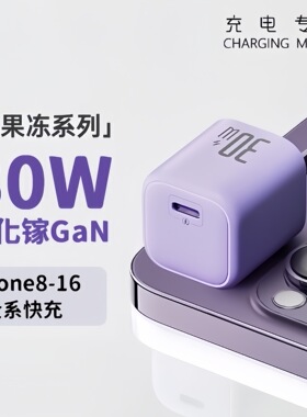 佐梵希PD30W氮化镓适用苹果17/16充电器头iPhone15promax手机充电器14pro快充头13小冰块GaN充电器套装