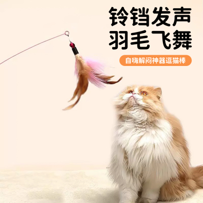 逗猫棒猫咪玩具自嗨互动解闷神器
