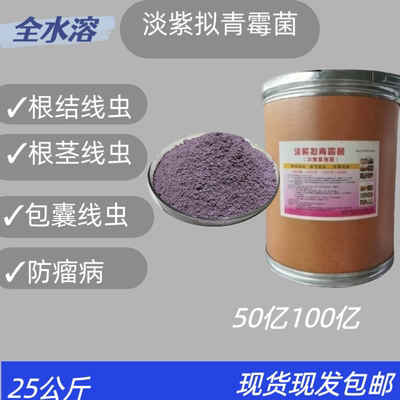 淡紫拟请霉生物菌肥通用