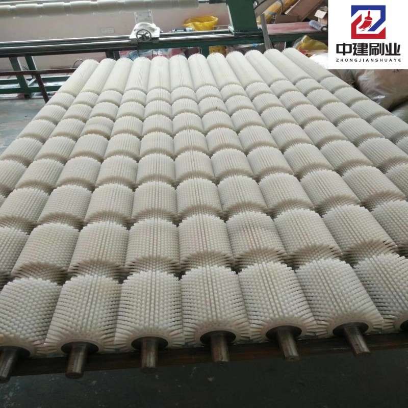 优惠生产滚筒刷 水果蔬菜清洗毛刷轮 红萝卜白萝卜清洗毛刷辊