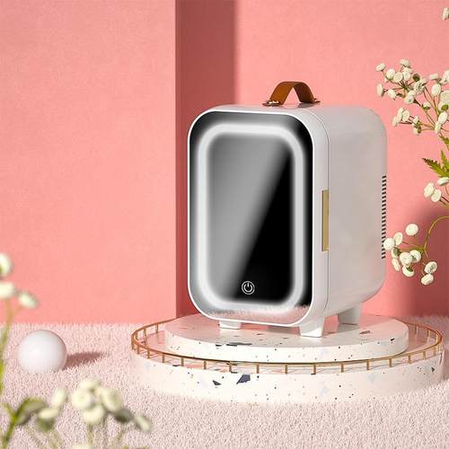 6/10L迷你车载小冰箱宿舍出租房车家两用冷热车载冰箱制冷藏现货