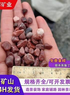 红色碎石卵石胶粘石彩色石子水洗石水磨石洗米石胭脂红