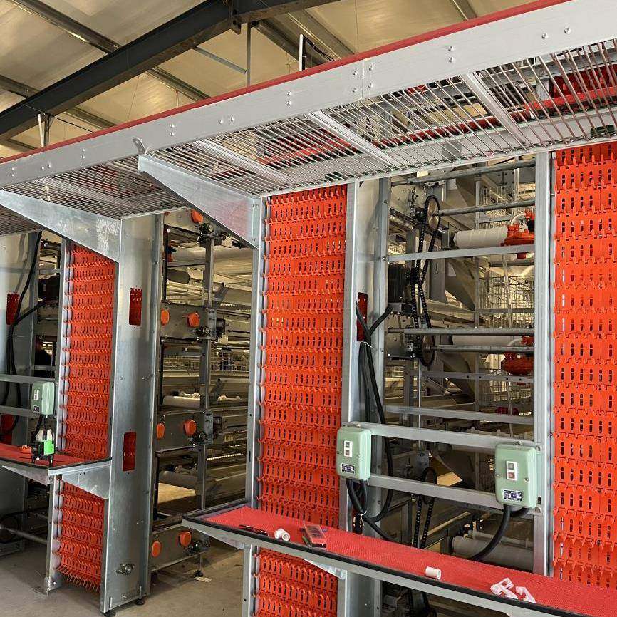 安徽宿州宏牧人商品蛋鸡立式阶梯层叠式拾检集蛋器自动捡蛋