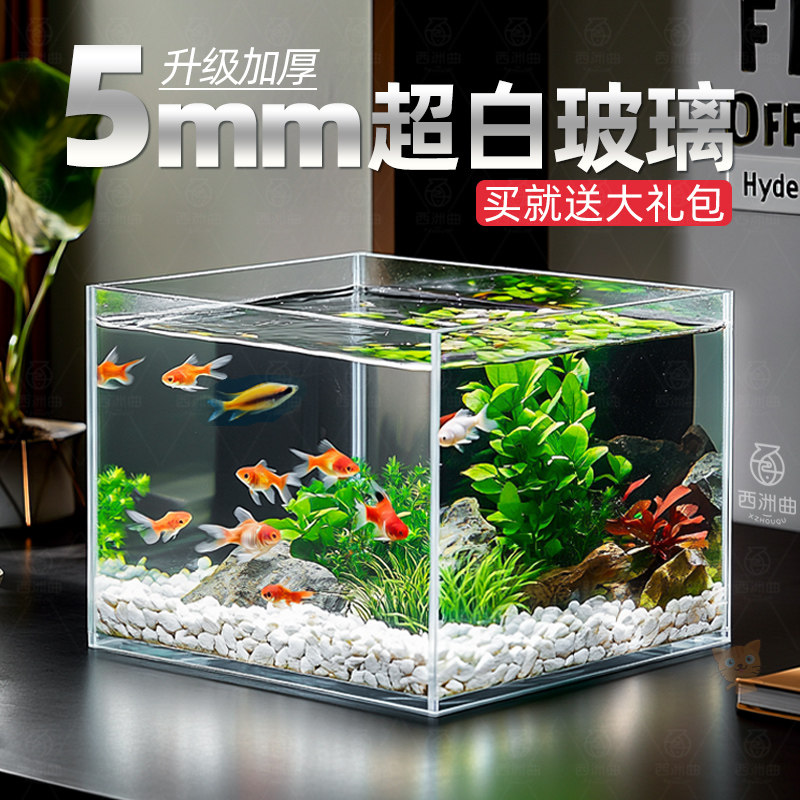 超白玻璃鱼缸长方形客厅办公桌面小型斗鱼金鱼水草生态造景乌龟缸