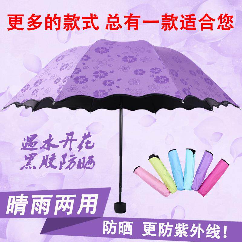 荷叶边遇水开花晴雨伞 黑胶防紫外线遮阳伞太阳伞 创意三折伞便携