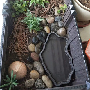 黄缘闭壳龟专用饮水盆 安缘台缘洗澡盆生态环境造景饲养箱专用缸