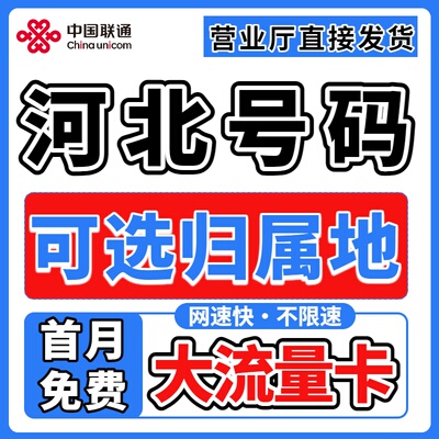 河北省归属地大流量无卡限量5g全国通用学生上网卡电话手机流量卡