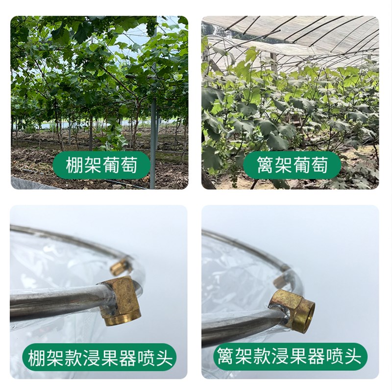 葡萄电动膨大神器膨果器沾药器拉穗铜雾化环形喷头回流催红浸果器