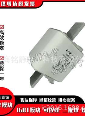 170M8531 170M8532 170M8533 170M8534巴斯曼熔断器现货170M8535