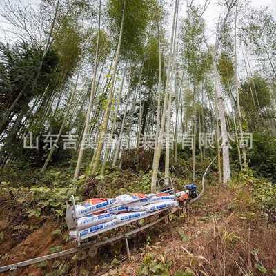 安全农用果园单轨运输车 山地爬坡轨道车齿条搬运机