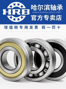哈尔滨高速电机轴承6203 62p04 6205 6206 6207Z RZ 2Z ZZ 2RS RS