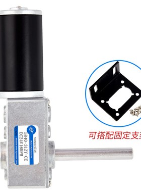 5840-31ZY涡轮蜗杆微型永磁直流减速电机调速马达12vW24v小电动机
