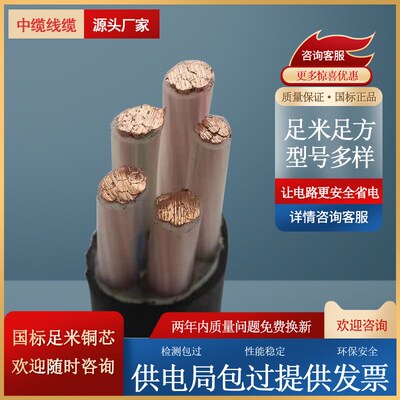 电力电缆YJV2 3 4 5铜芯阻燃耐火动力35平方VV22室外架空电线铠装