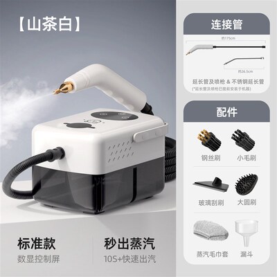 家用蒸汽清洁机新款高温高压多功能厨房空调布艺蒸汽清洗一体机