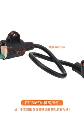 家用手提小型汽油发电机配件ET950/650 600W800W高压包线圈点火器