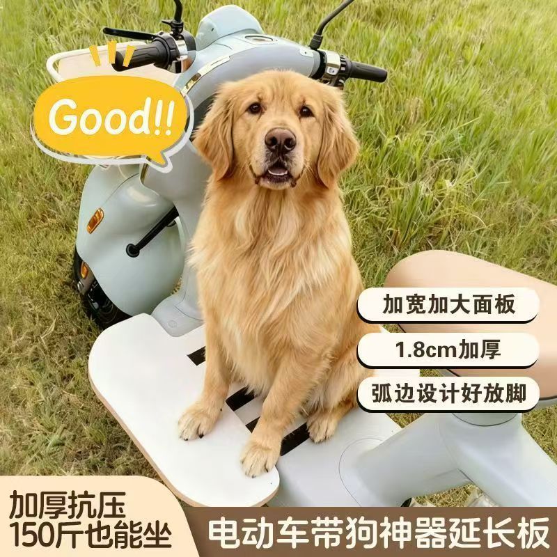 电动车儿童座椅加厚抗压