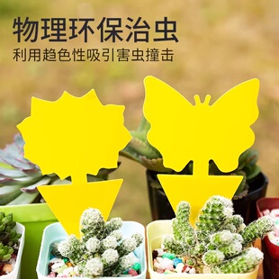 小黄板粘虫板双面诱虫无毒花卉驱虫沾虫神器花盆除小黑飞长期有效